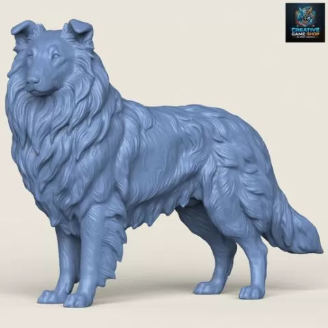 Rough Collie Dog