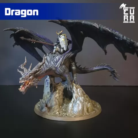 Dragon - Shadow Elf