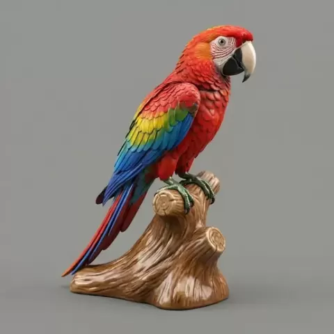 Macaw