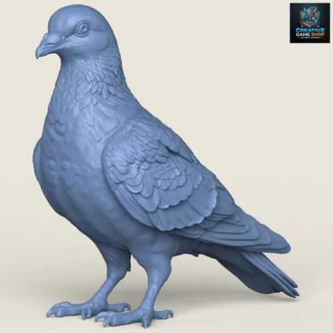 Pigeon Bird