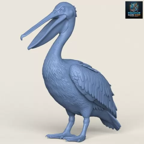 Pelican Bird