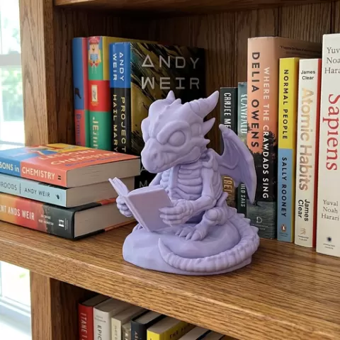 Baby Bone Bookwyrm 🐉📖
