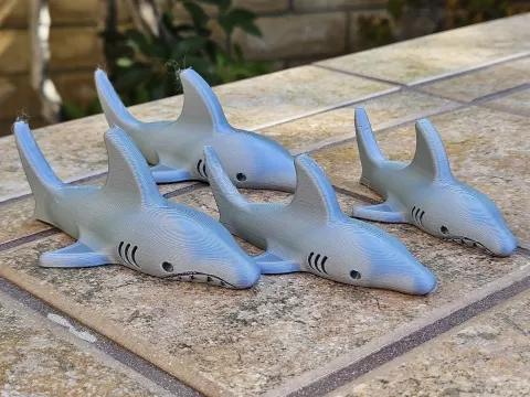 Shark