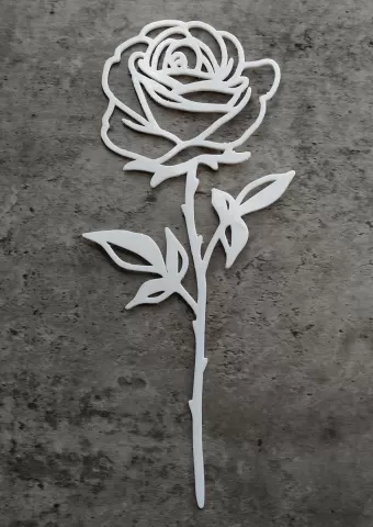 International Women's Day / Valentine's Day Rose - 12