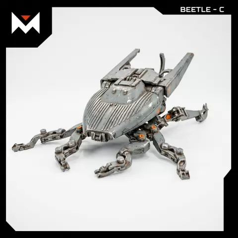 Beetle-C by Mohammad hossein attaran