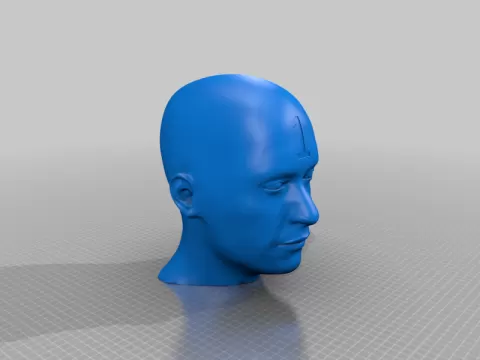 Sizing Heads