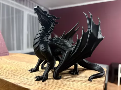 DRAGON