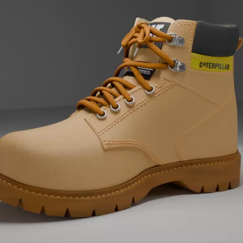 CAT Shoe