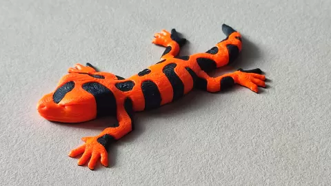 Leopard Gecko dual color single extruder
