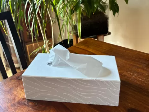 Couvre boite de mouchoirs