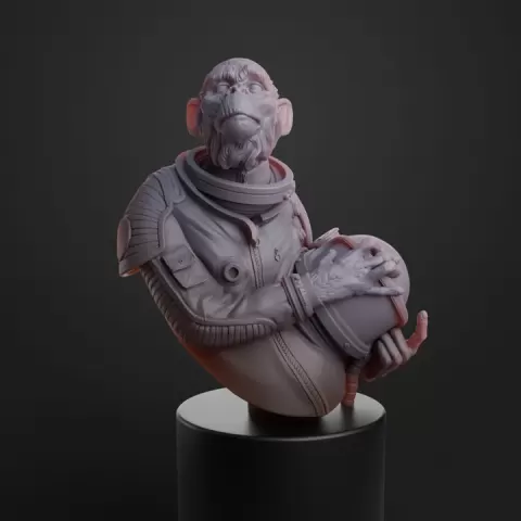 Chimp Astronaut by Leonard Seime
