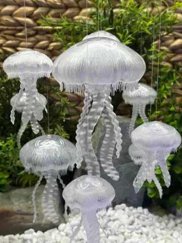 Moon Jellyfish