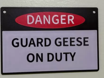 Guard Geese On Duty