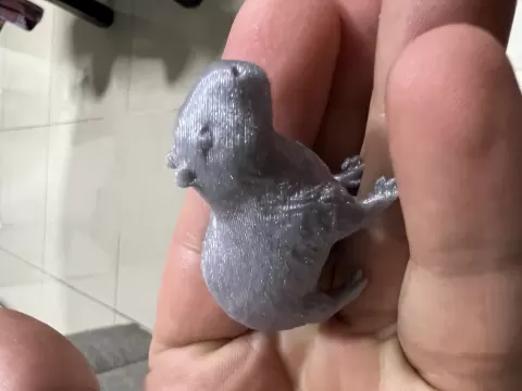 Capibara