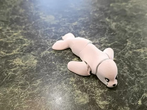 Flexi Seal