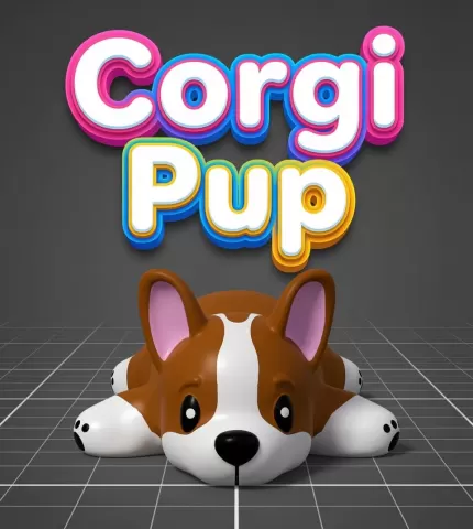 Flexi Corgi Pup