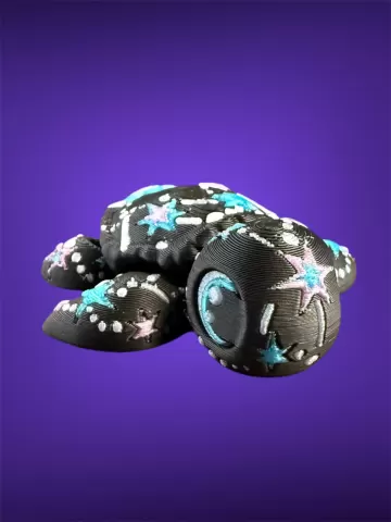 Constellation Turtle