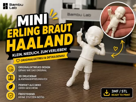 Erling Braut Haaland Mini