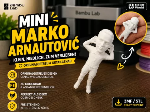 Mini Marko Arnautović