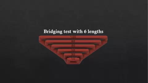 Bridging Test