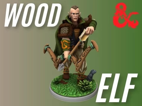 Wood Elf character for DnD