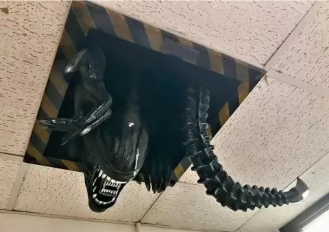 Ceiling Xenomorph