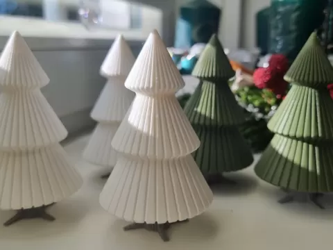 Striped Pinetree