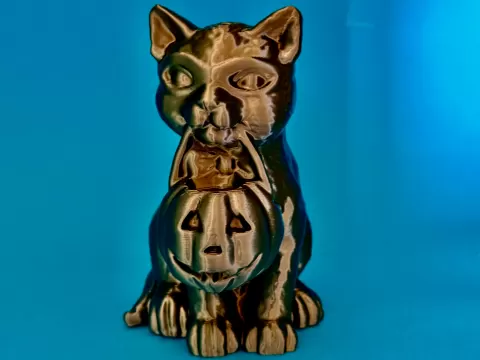 little halloween cat