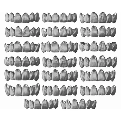 MEMBRANE - FULL COLLECTION