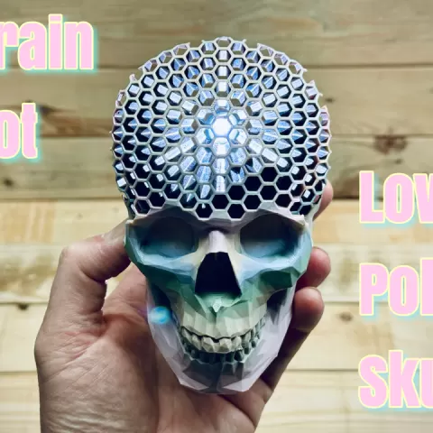 Brain Rot Low Poly Skull by ENIQUE3D