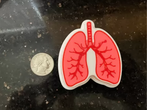 Anatomical Lungs Clicker