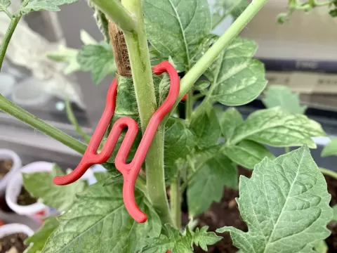 Plant clip