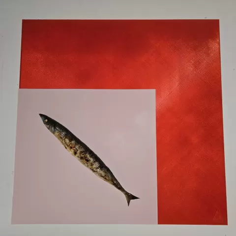 The very First Print