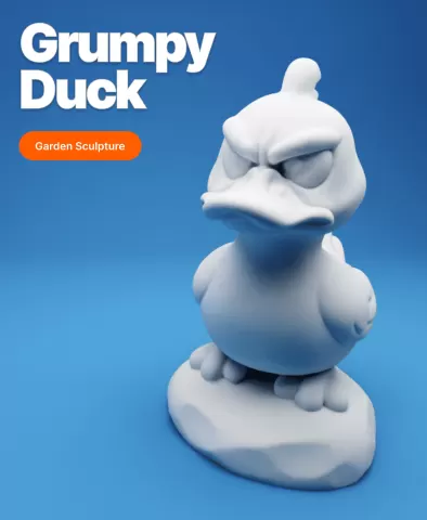 Grumpy Duck on a Rock