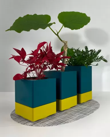 Mini Planters Set With Drainer and Drip Tray