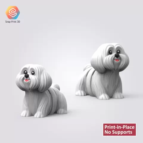 Flexi Maltese