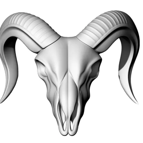 Buffalo Skull Animal Skull Western Decoration - Buffalo Skull Animal Death Skull Western Decor - Calavera de Búfalo Animal Cráneo Occidental Decoración - جمجمة جاموس حيوان جمجمة موت غربية زخرفة