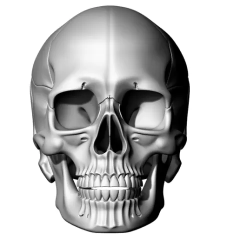Human Skull Scary Amazing Bones Gothic Horror - Human Skull Scary Amazing Bones Gothic Horror - Calavera Humana Espeluznante Asombrosa Huesos Gótico Horror - جمجمة بشرية مخيفة مذهلة عظام رعب قوطي