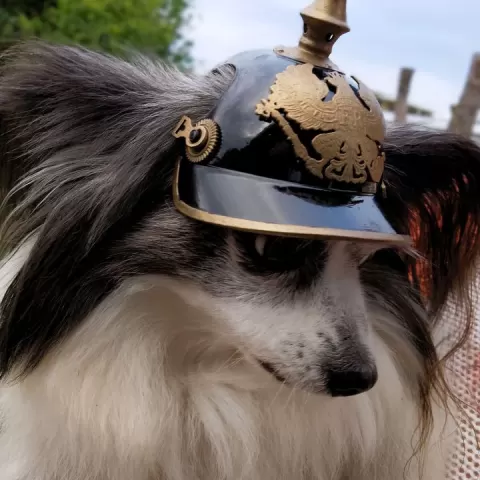 German Dog Spiked Helmet - Pickelhaube. Scale To Size. Costume, prop, cosplay, dog armor by dogpuddle