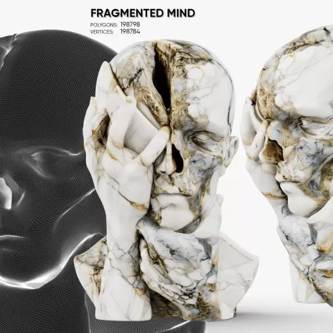 Fragmented Mind