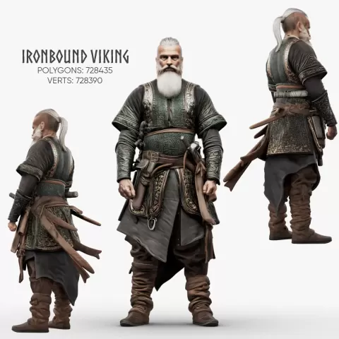 Ironbound Viking
