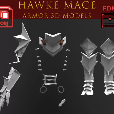 Hawke Champion Armor 3D models