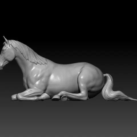 HORSE POSE 13