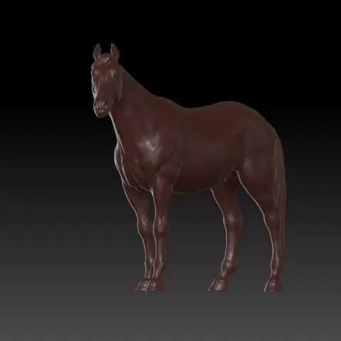 Horse 01