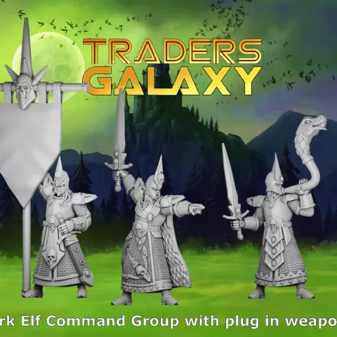 Dark Elf Command Group by Traders Galaxy Miniatures and Games