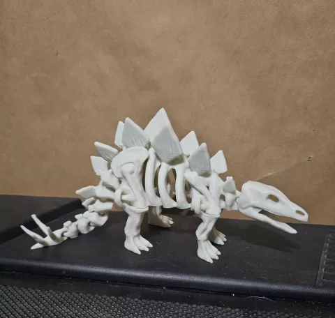 Articulated dinosaur skeleton 3