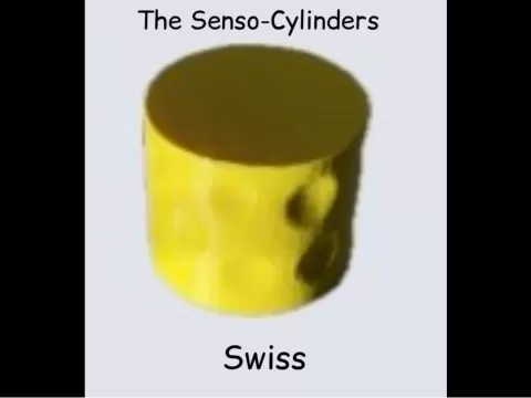Senso-Cylinder Swiss