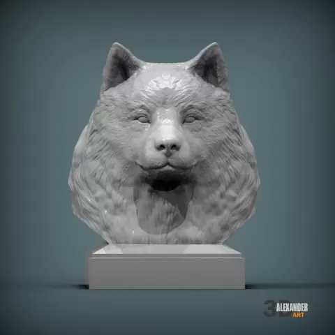 Samoyed dog by Alexander3dart