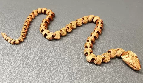 Articulated Snake with Scales