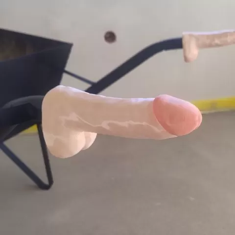 Penis wheelbarrow handles, dicky wheelbarrow handles, dick handles, big cock for a wheelbarrow, wheelbarrow dildo